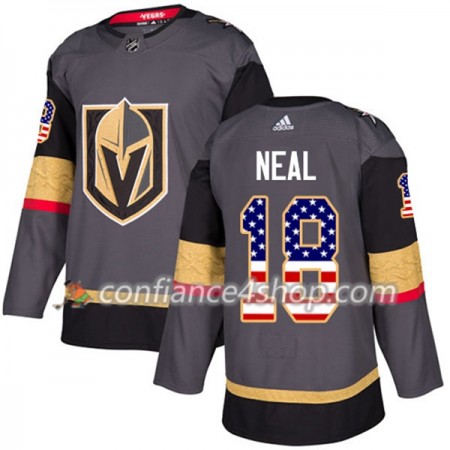 Adidas Maillot de Hockey Vegas Golden Knights James Neal 18 2017-2018 Grau USA Flag Fashion Authentic - Homme
